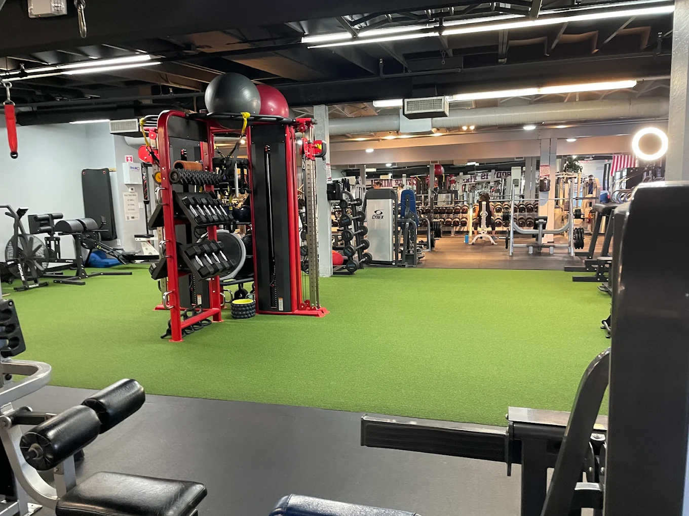 MuscletopiaUSA gym floor with turf and rack